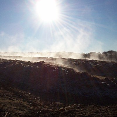 Compost Leaf Manure